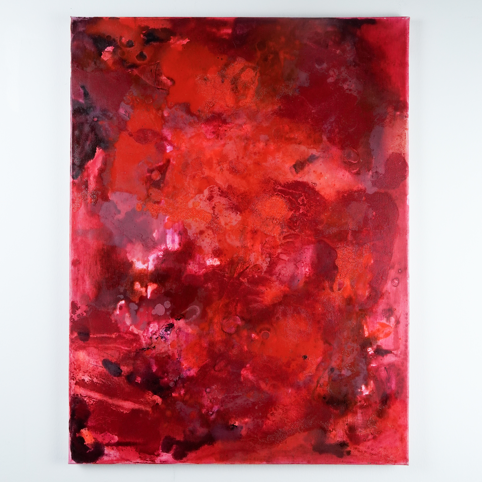 The Lioness - Original Oil Painting on Canvas, 2021