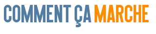 service-expats-lisbonne-portugal-bob.png