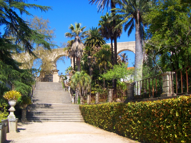 N'oubliez pas de passer par le jardin botanique de Coimbra