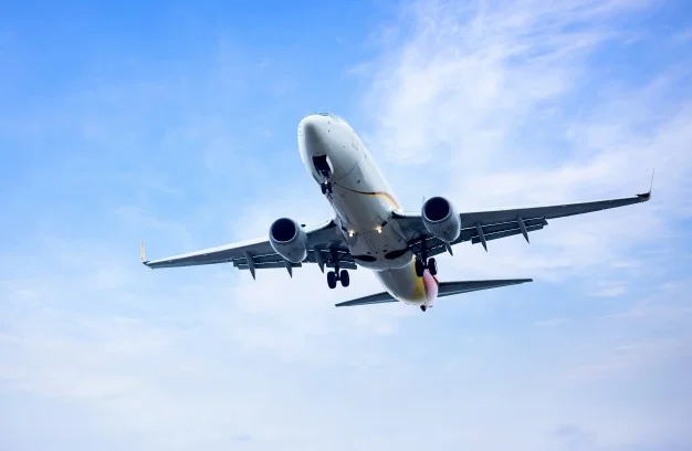 A 26 years-old Italian man has been arrested after landing