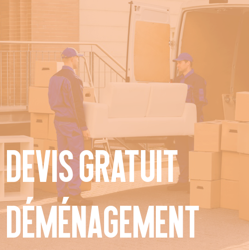 devis demenagement gratuit.png