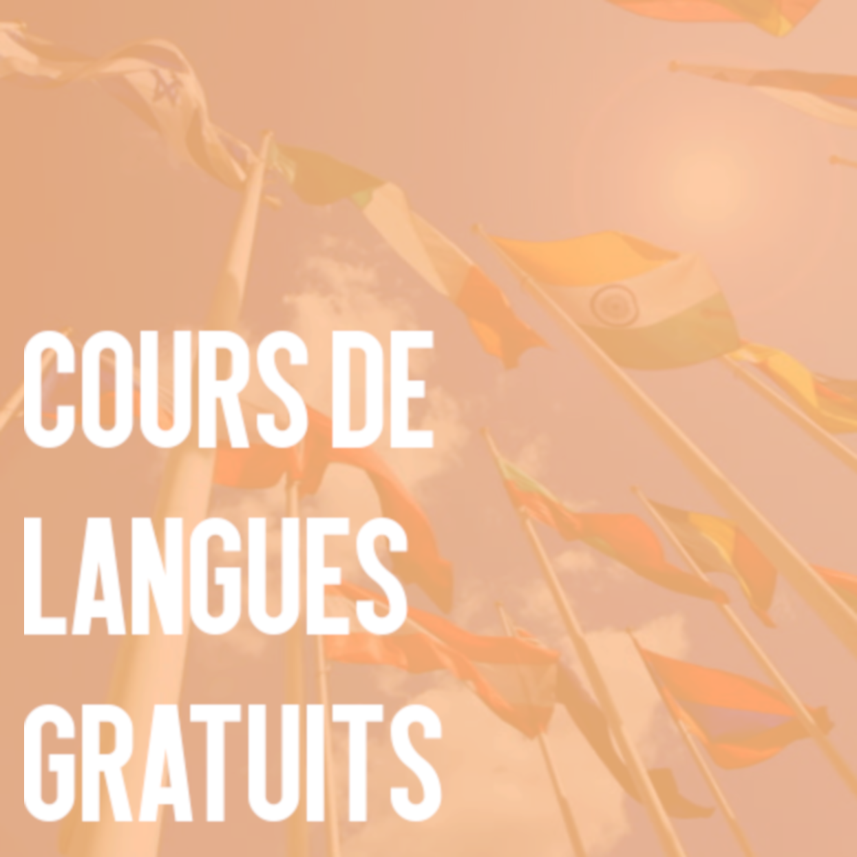 couors de langues gratuits1.png