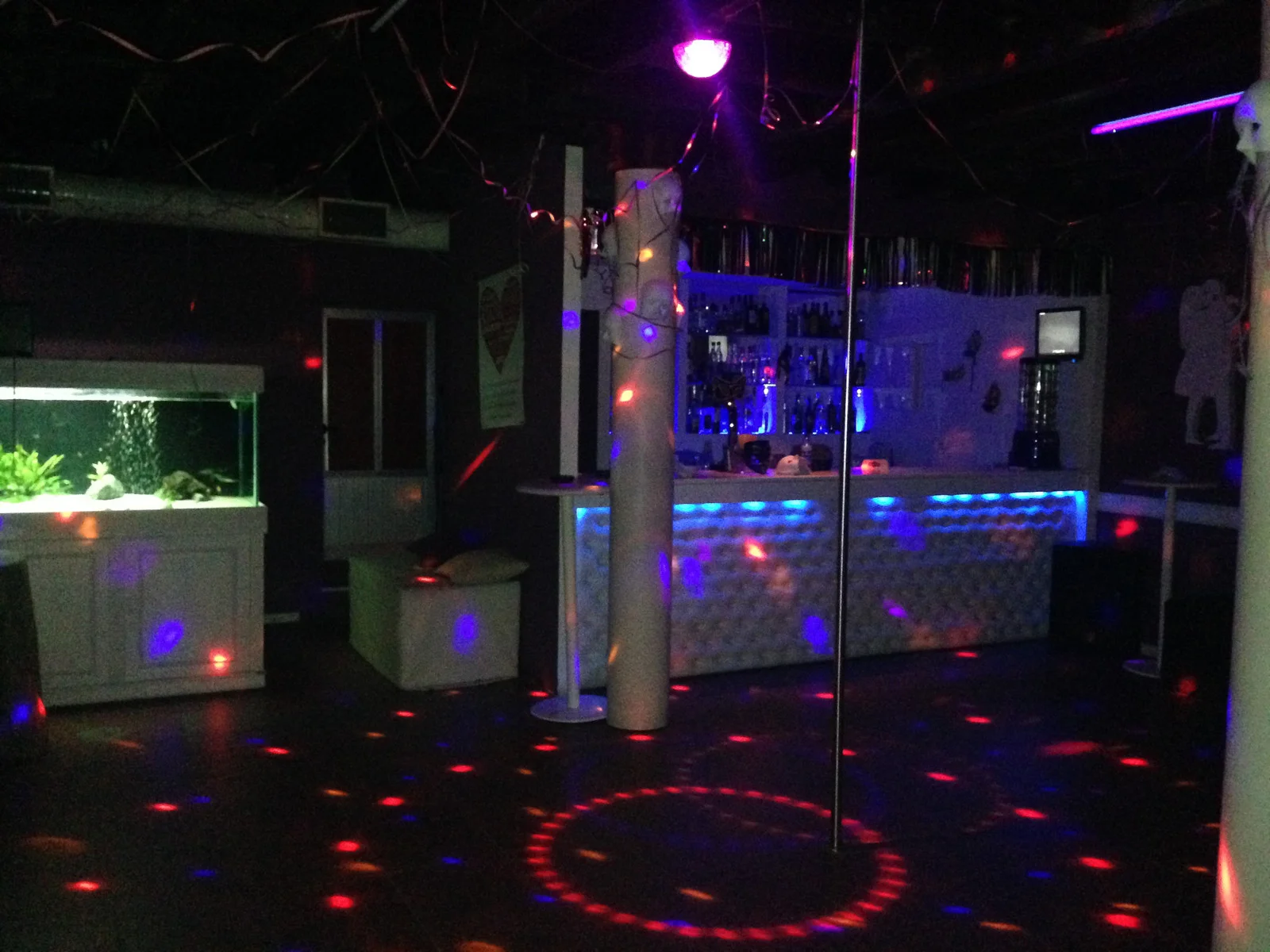 Bliss Club - Coimbra