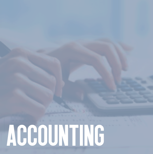 accountant bookeeper.png