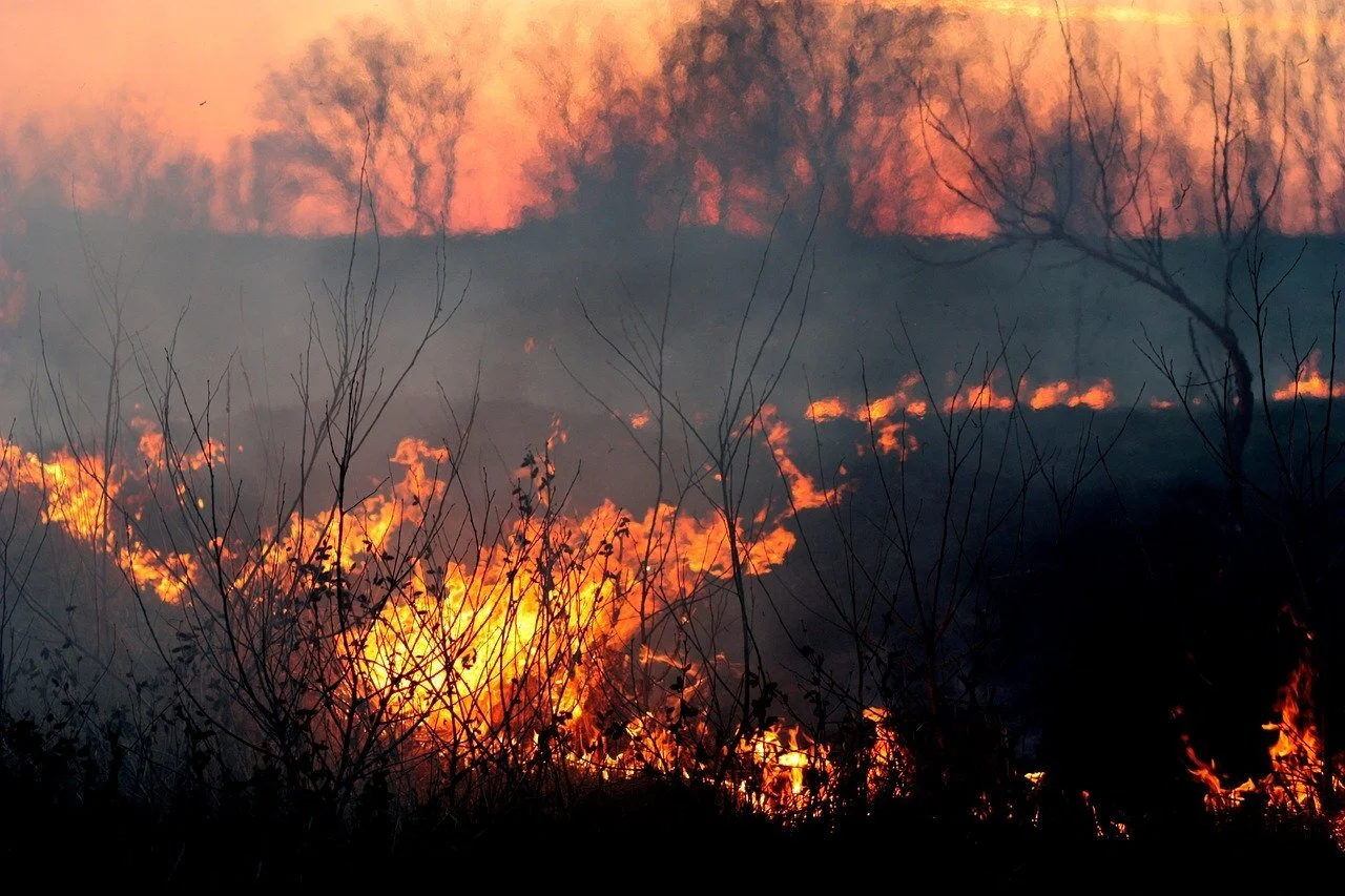 Algarve on maximum alert for fire risk until Tuesday