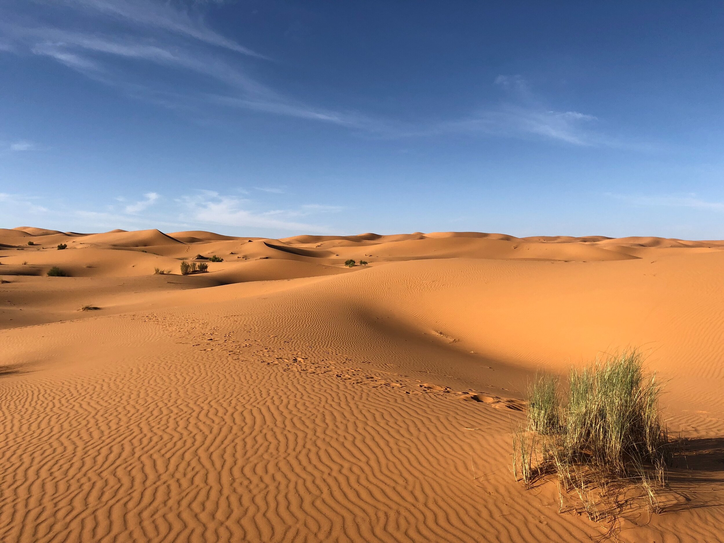 désert du sahara