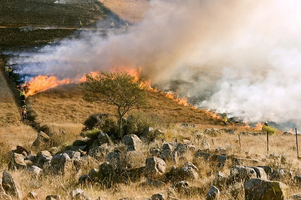Alerte risque très élevé d'incendie dans 4 districts du Portugal ce samedi 29 mai