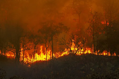 Le Portugal déclare l'état d'alerte incendies dans 14 districts