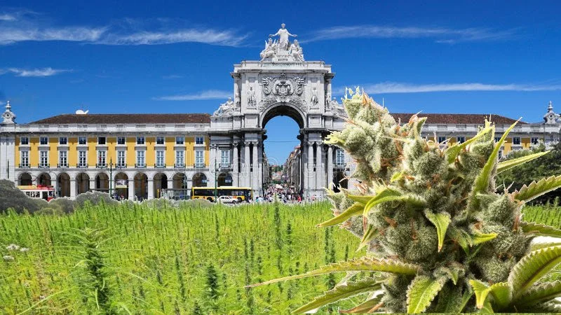 Du cannabis cultivé Praça do Comercio à Lisbonne pour réduire la dépendance énergétique