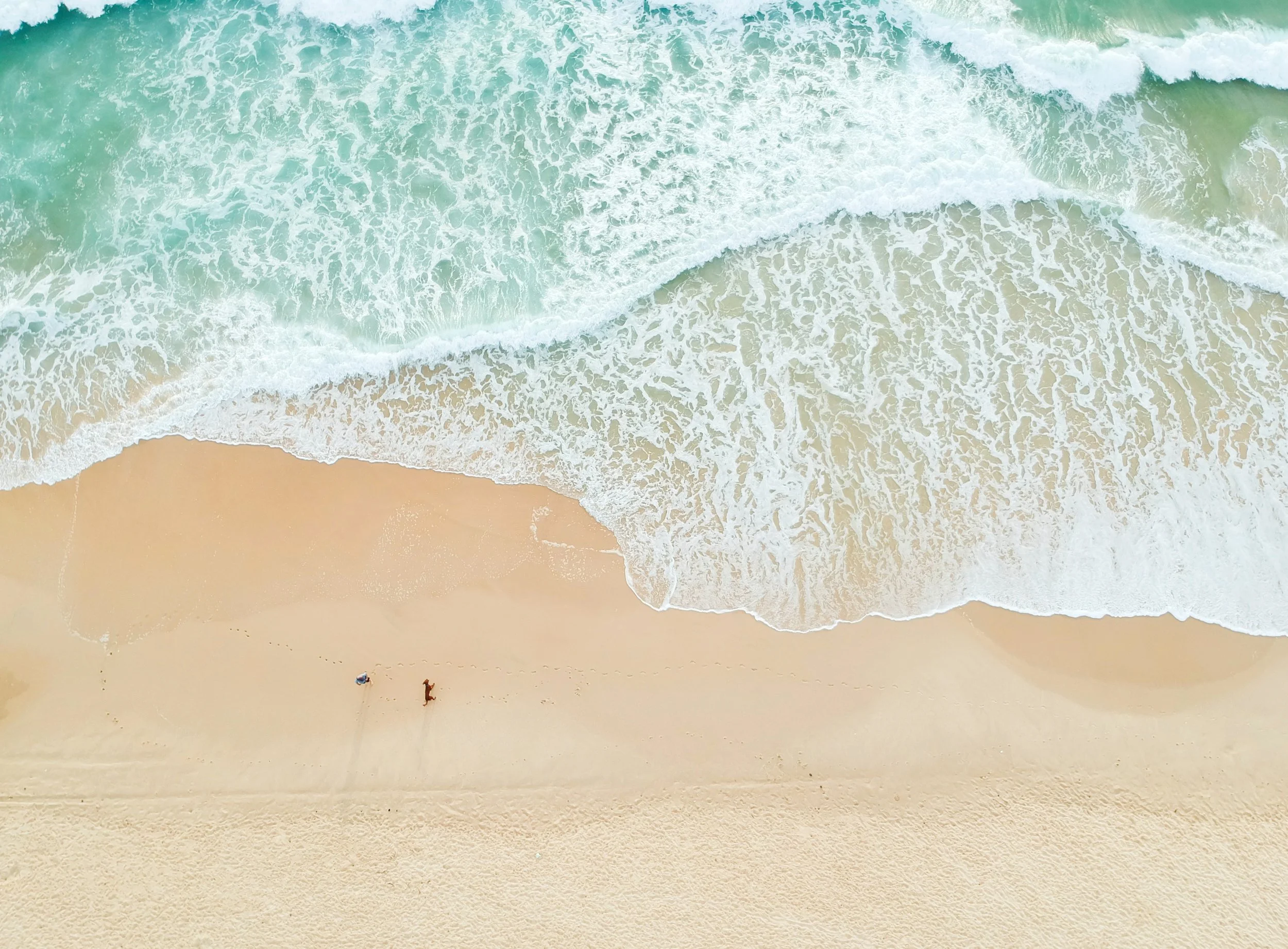La plus belle plage d'Europe 2022 est portugaise