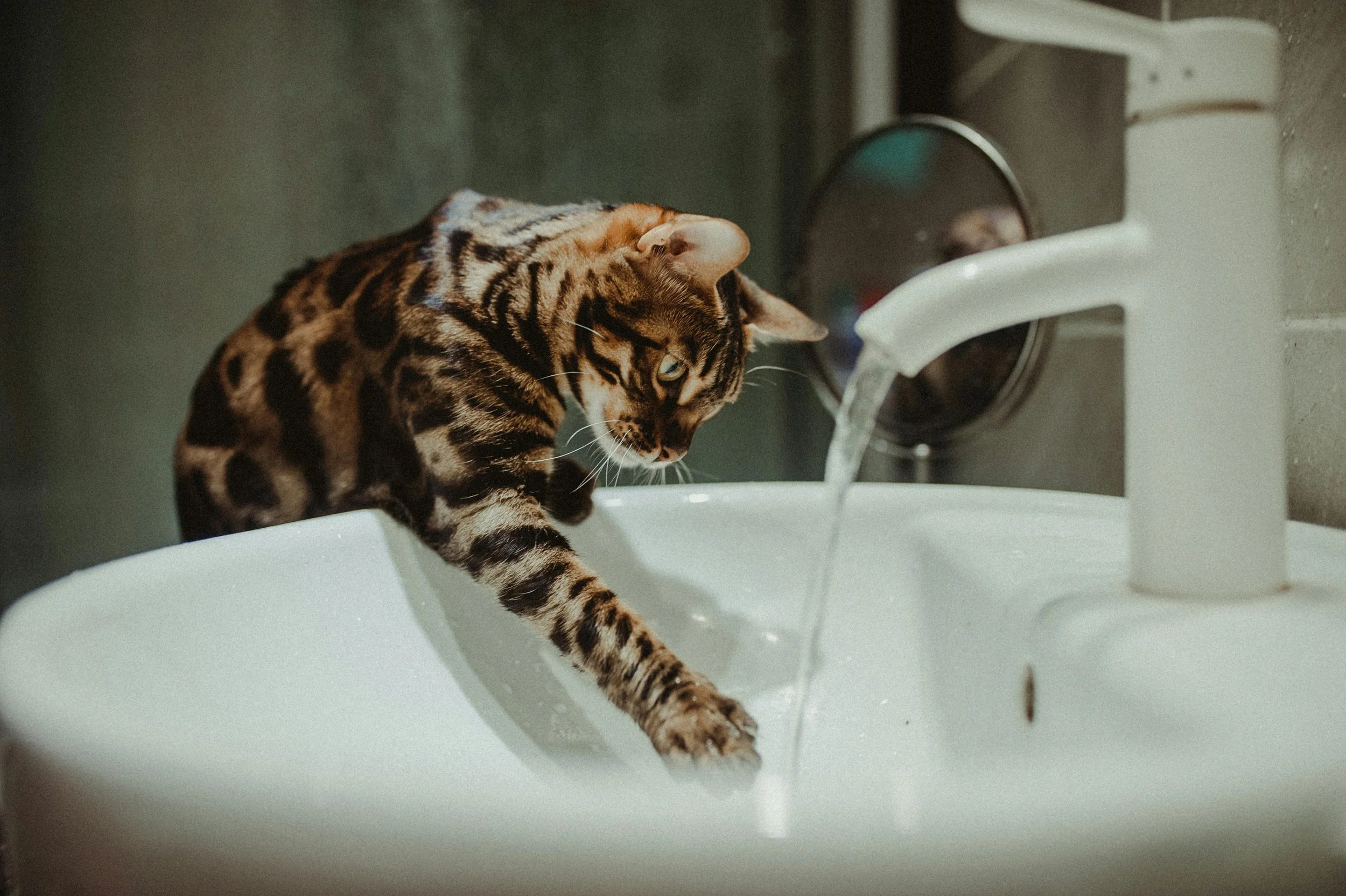 Comment souscrire à un contrat d’eau en ligne au Portugal