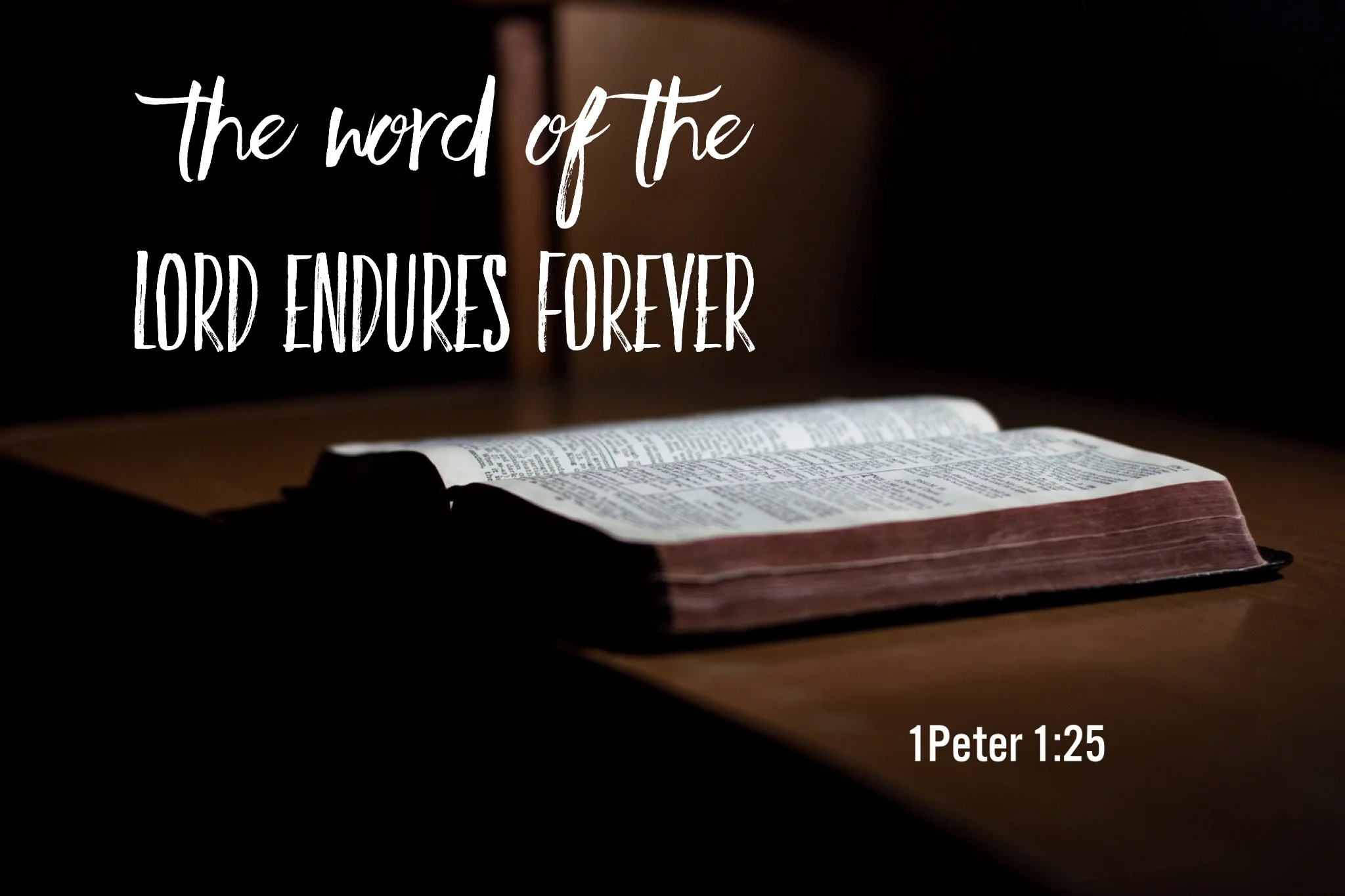 Entry #6 - What helps me endure?