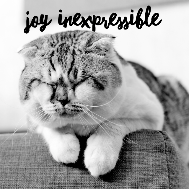 Entry #3:  Joy inexpressible and full of glory.  What?