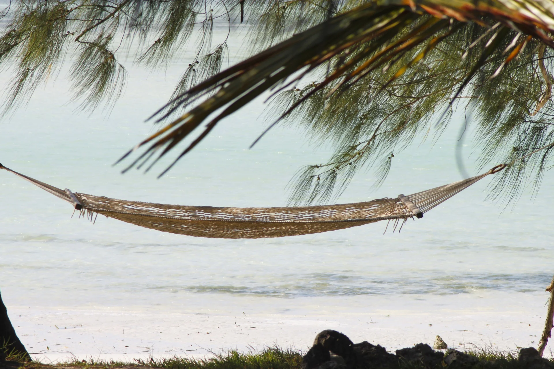 hammock-2676646_1920.jpg