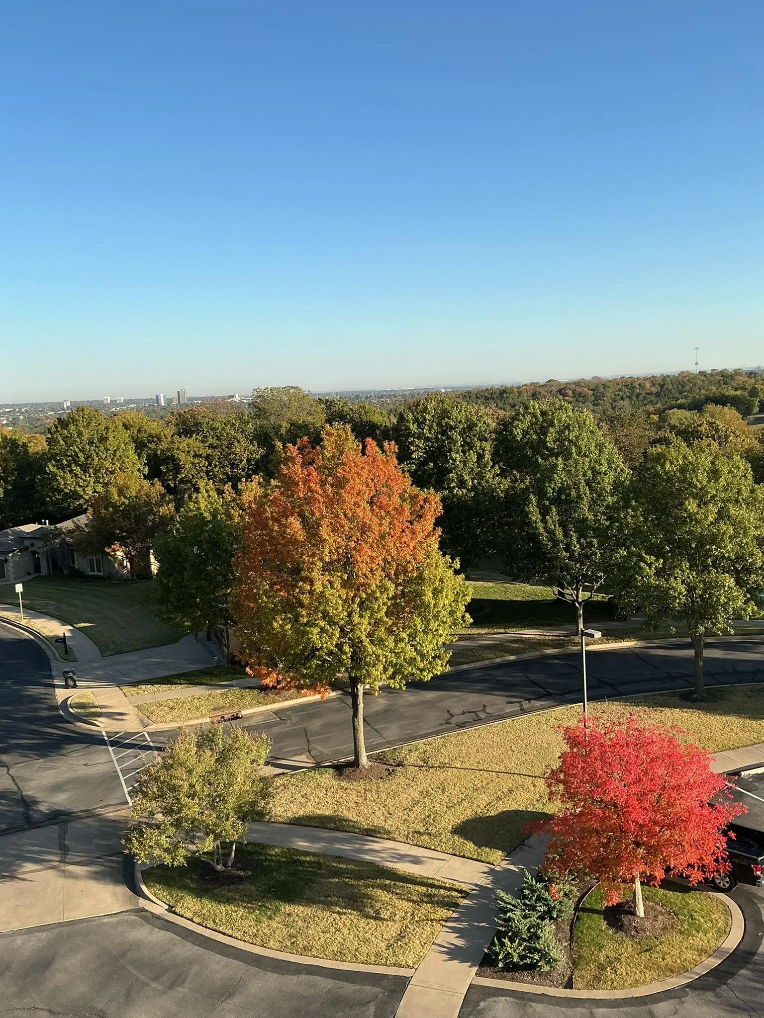 Election results and trees