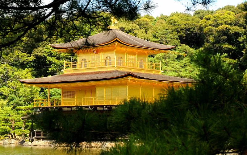 golden pavilion in kyoto_w800_h503.jpg