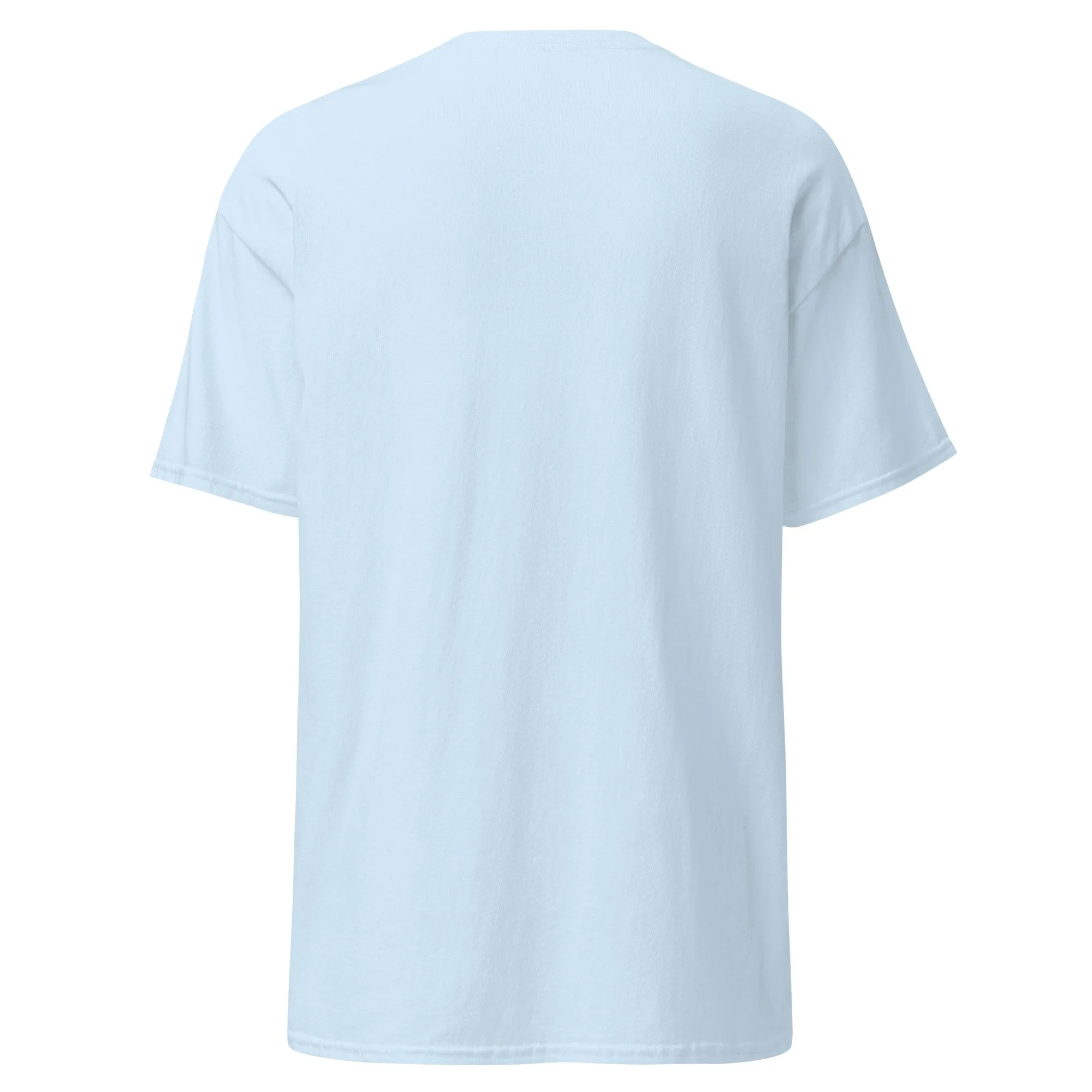unisex-classic-tee-light-blue-back-6a4ce1a603511.jpg