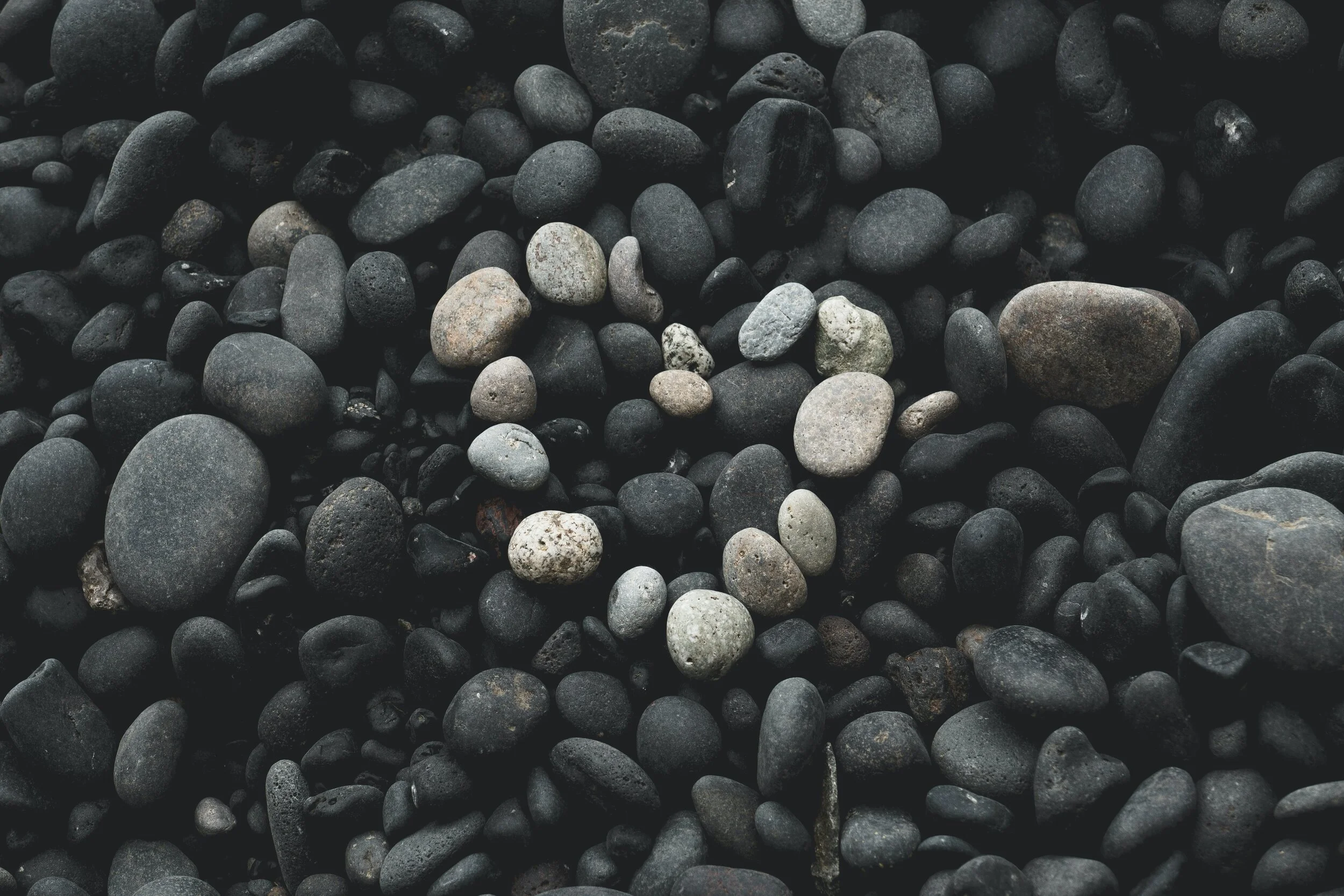 Nourish-An Essential Service