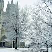 Washington Cathedral “Messiah”