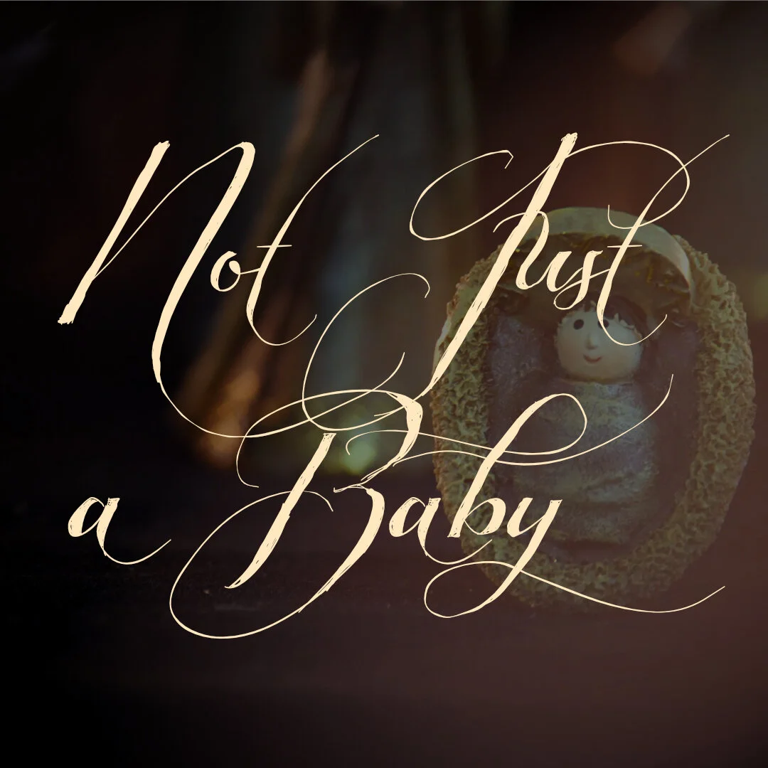 Not-Just-a-Baby-Square.jpg