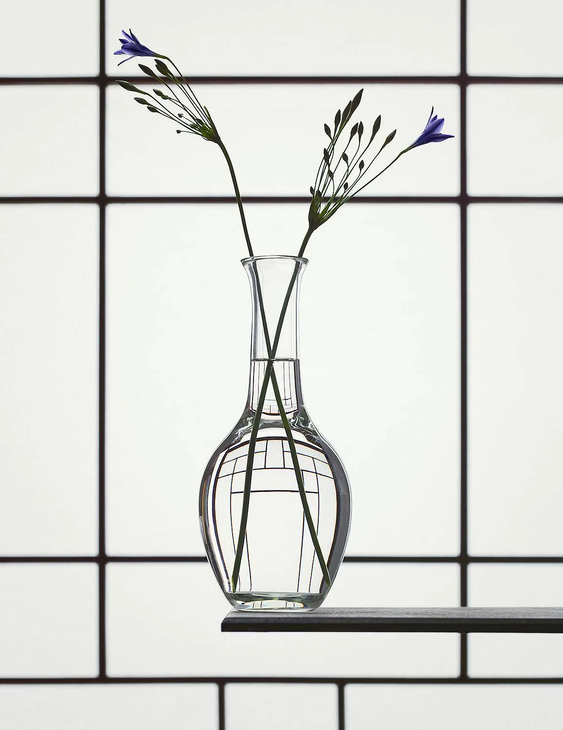Still Life with Tritaleia van Erwin Olaf (bij Flatland) geeft de perfecte combinatie van strakke compositie en vloeiende lijnen