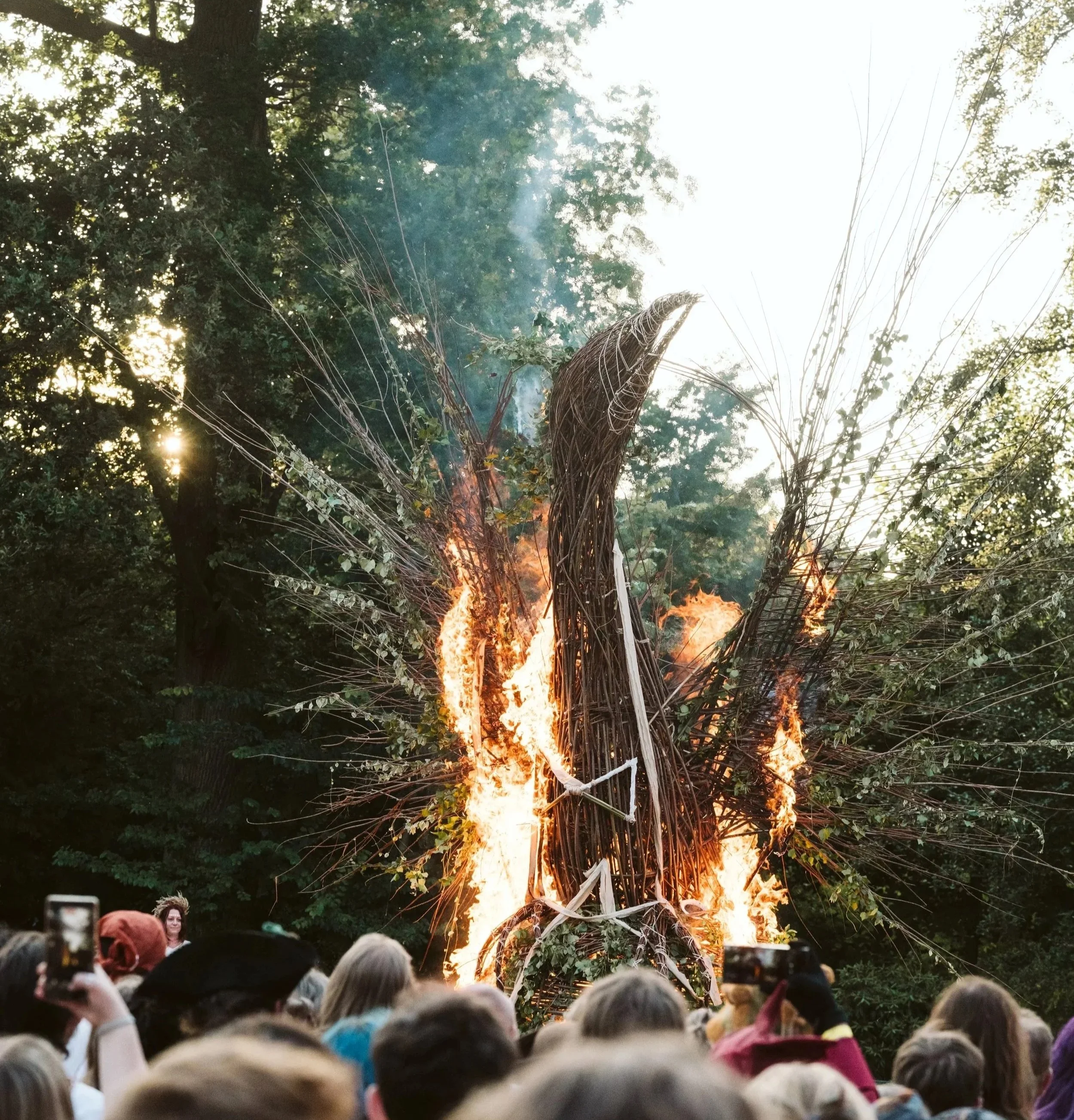 2026CastlefestbyAlwinvanWijngaarden-4870-small.jpg