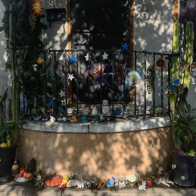 🐠🐙🐟🐥🌻🐍🐔🎃 in real (plastic) life!!