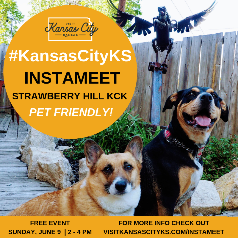 SUMMER_2019_INSTAMEET_1__a71dd144-4913-4996-89ba-d9e2d4f36b54.png