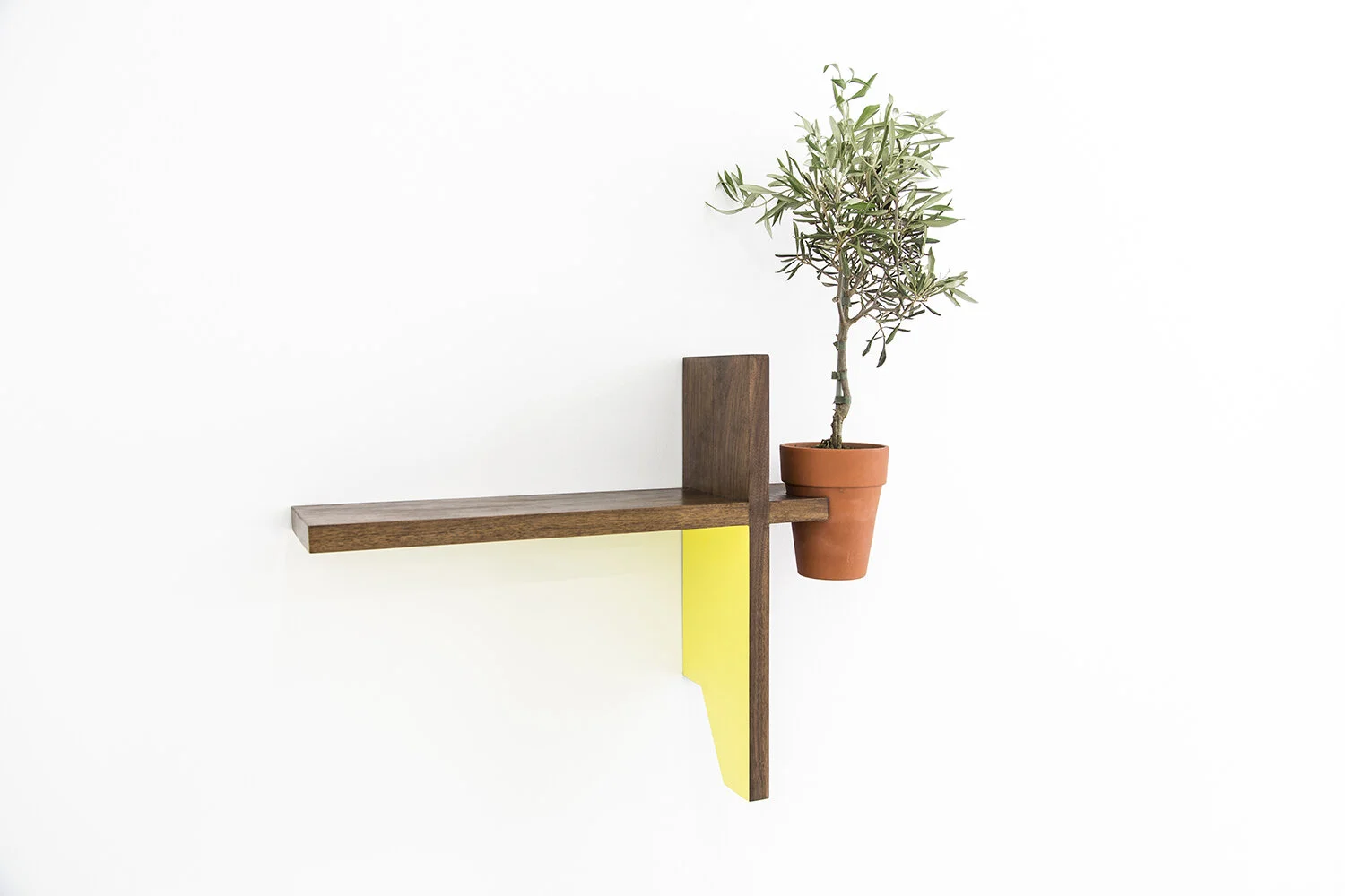 Mies's Shelf