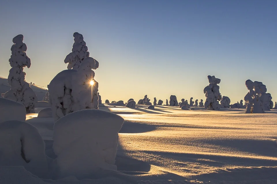 Agva Vinter