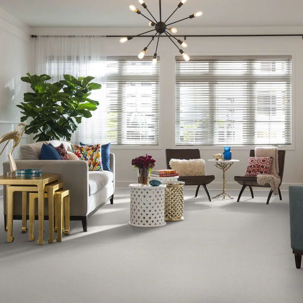 shaw carpet.jpg
