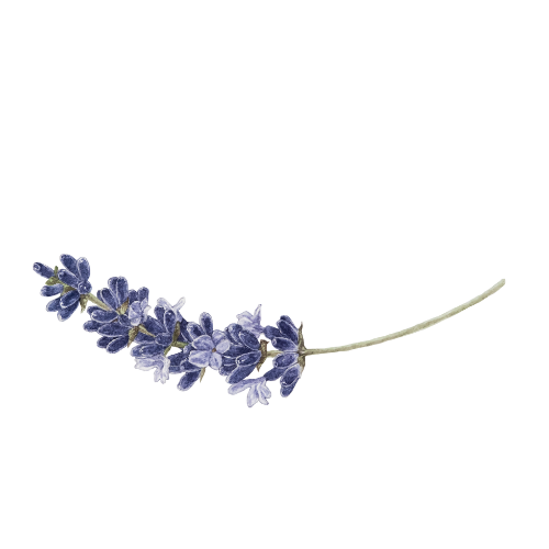 LovesToGather