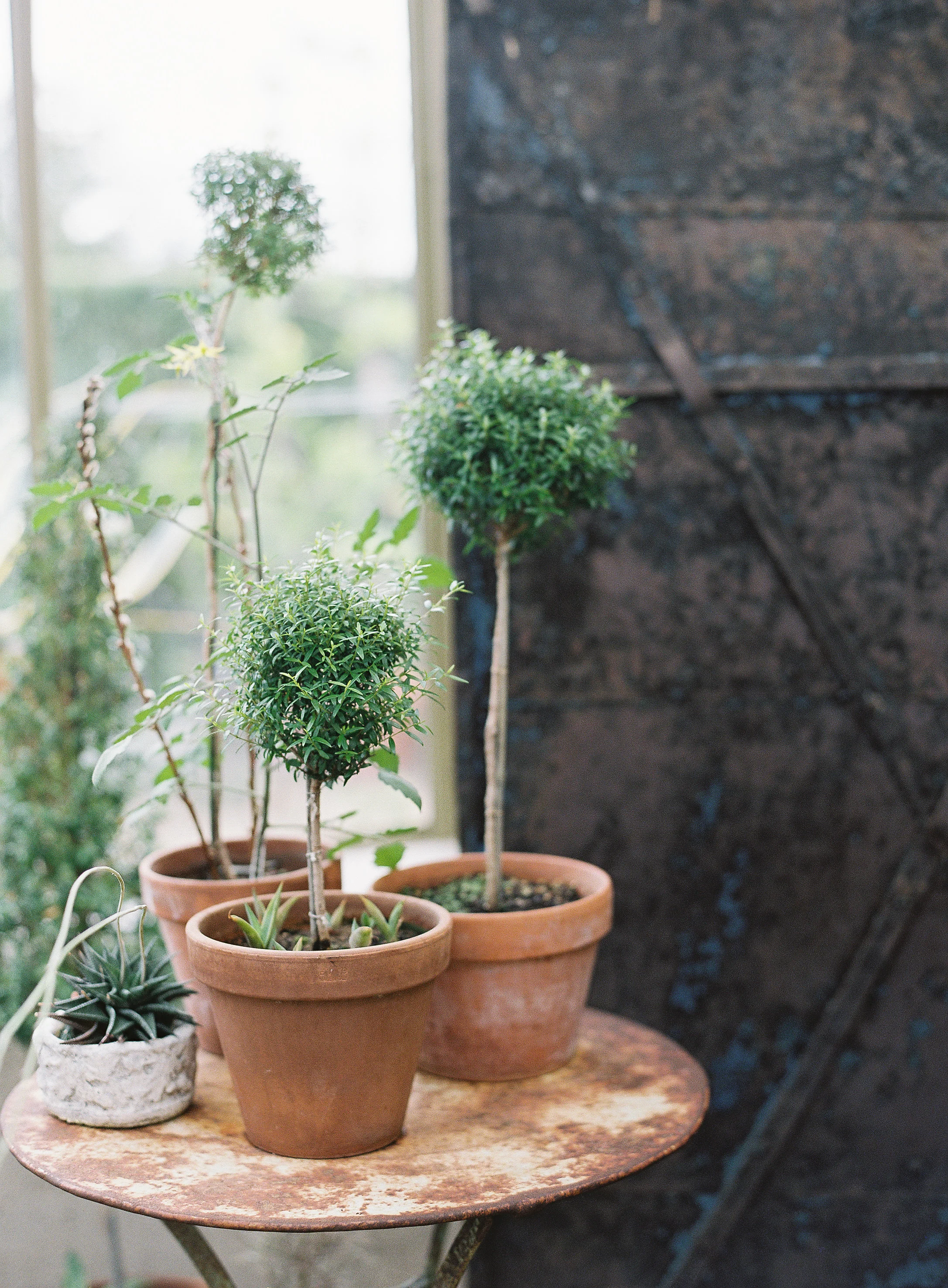 162-lauragordonphotography_bellabelle.jpg