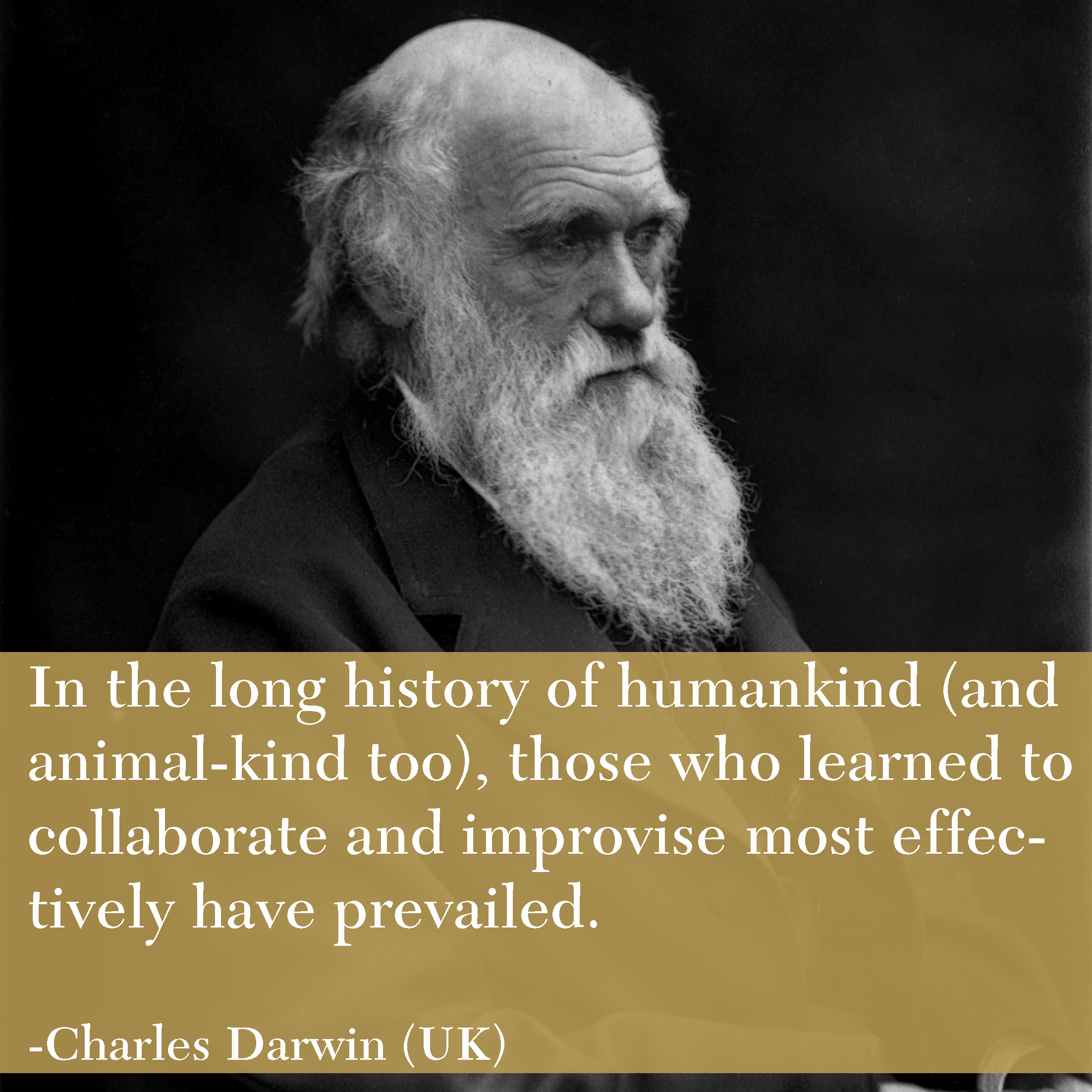 Darwin Final.jpg