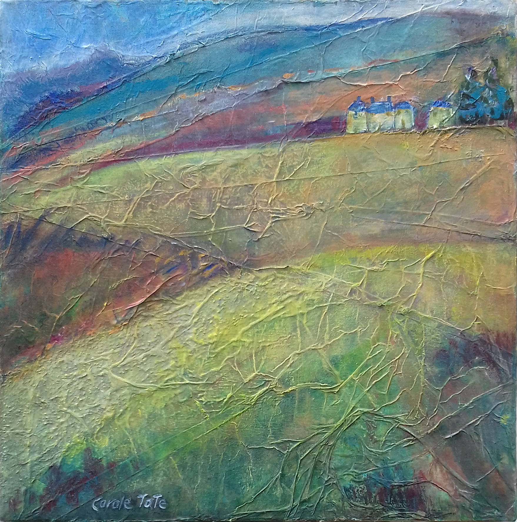 Textured Landscape