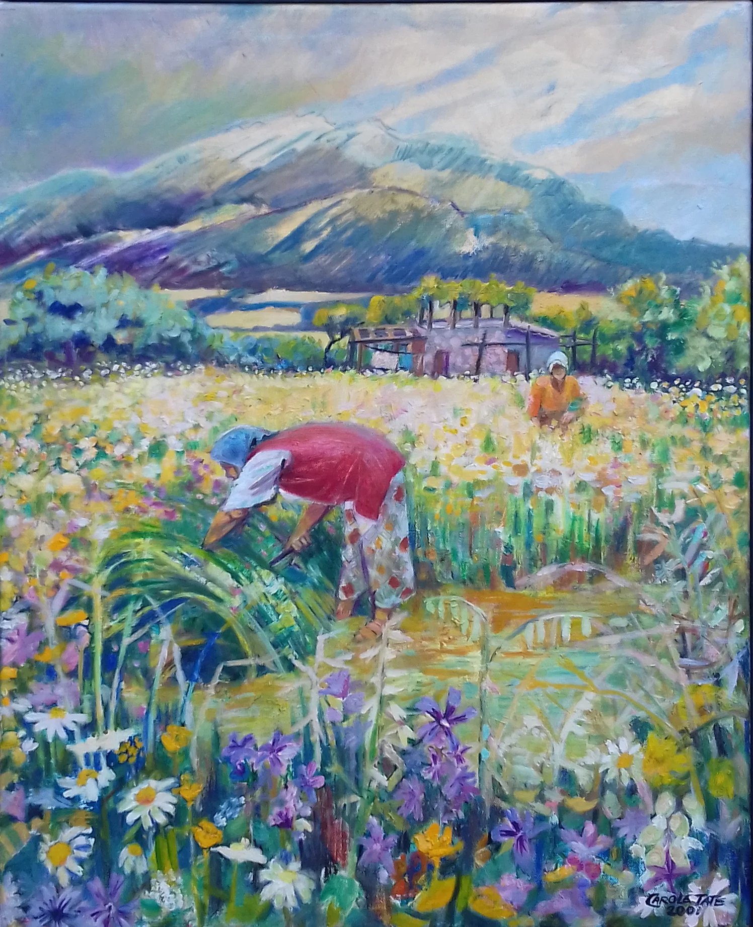 Turkish Flower Harvest