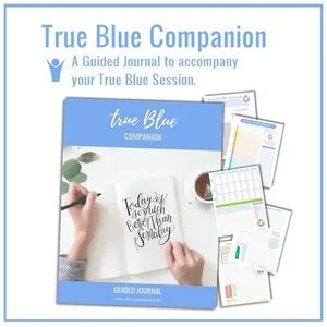 TB-Companion.jpg