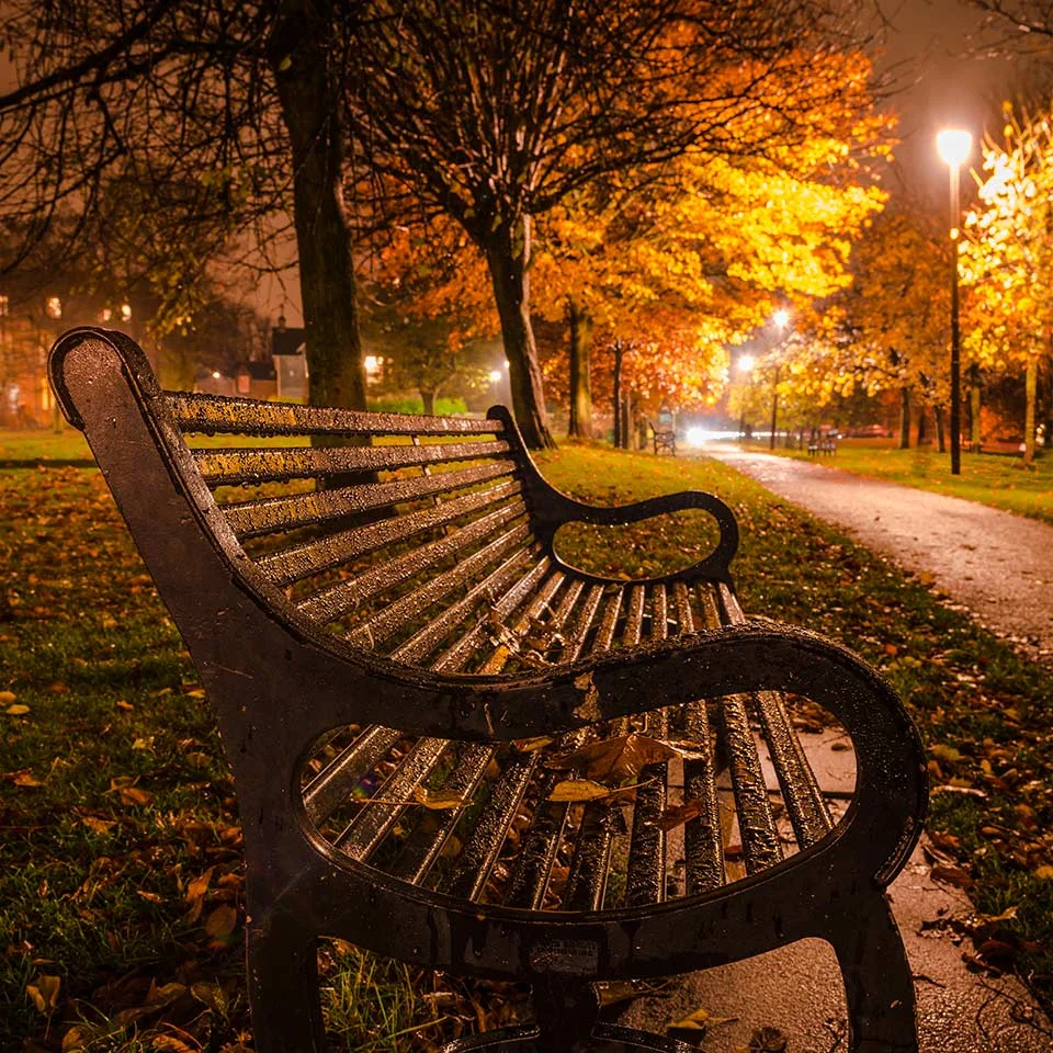 links-bench-autumn-rain-1x1-960-wee.jpg