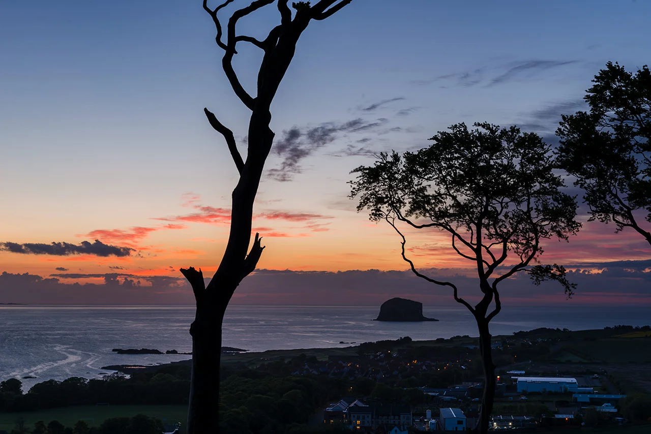 berwick-law-trees-1280-wee.jpg