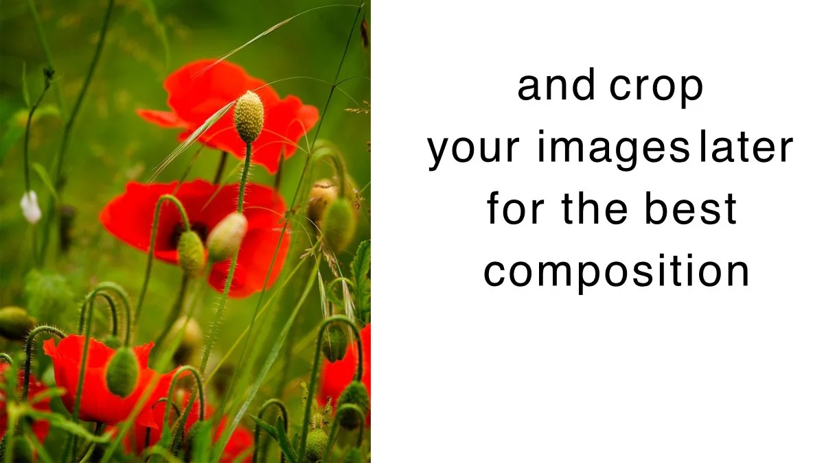 Composition Rules 2026_31.jpg