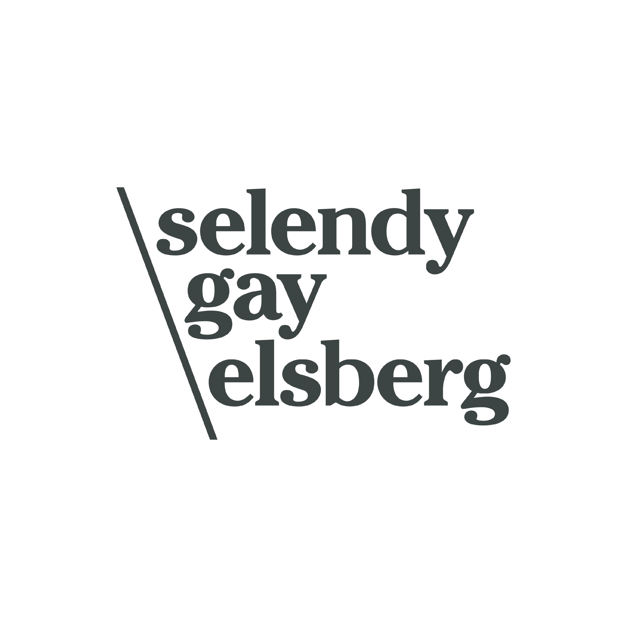 Selendy Gay Elsberg.jpg