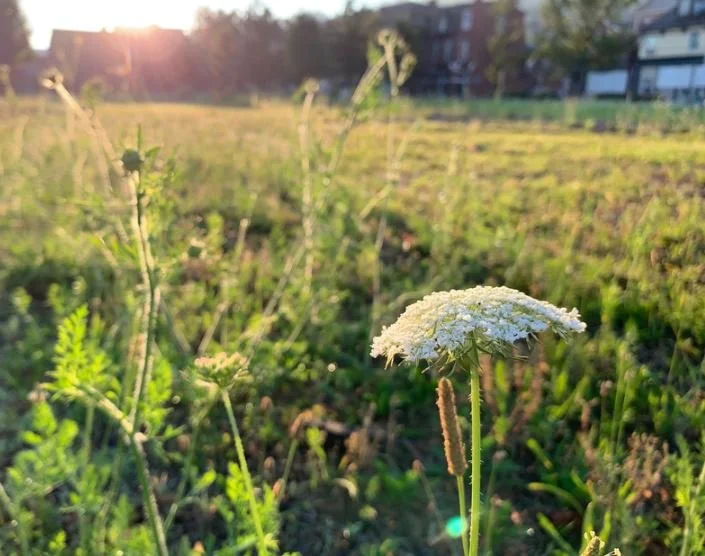 where-we-build-hulbert-homes-inc