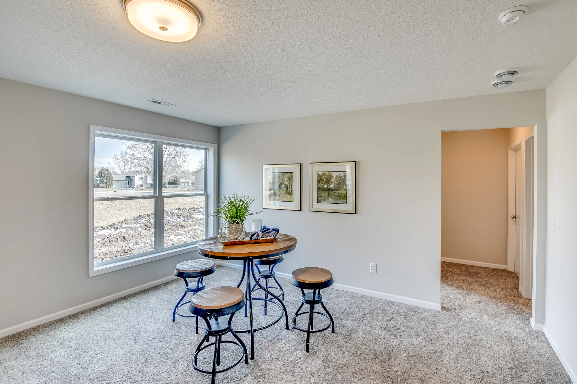 13737 Brunswick Ave S Savage Mn-152.jpg