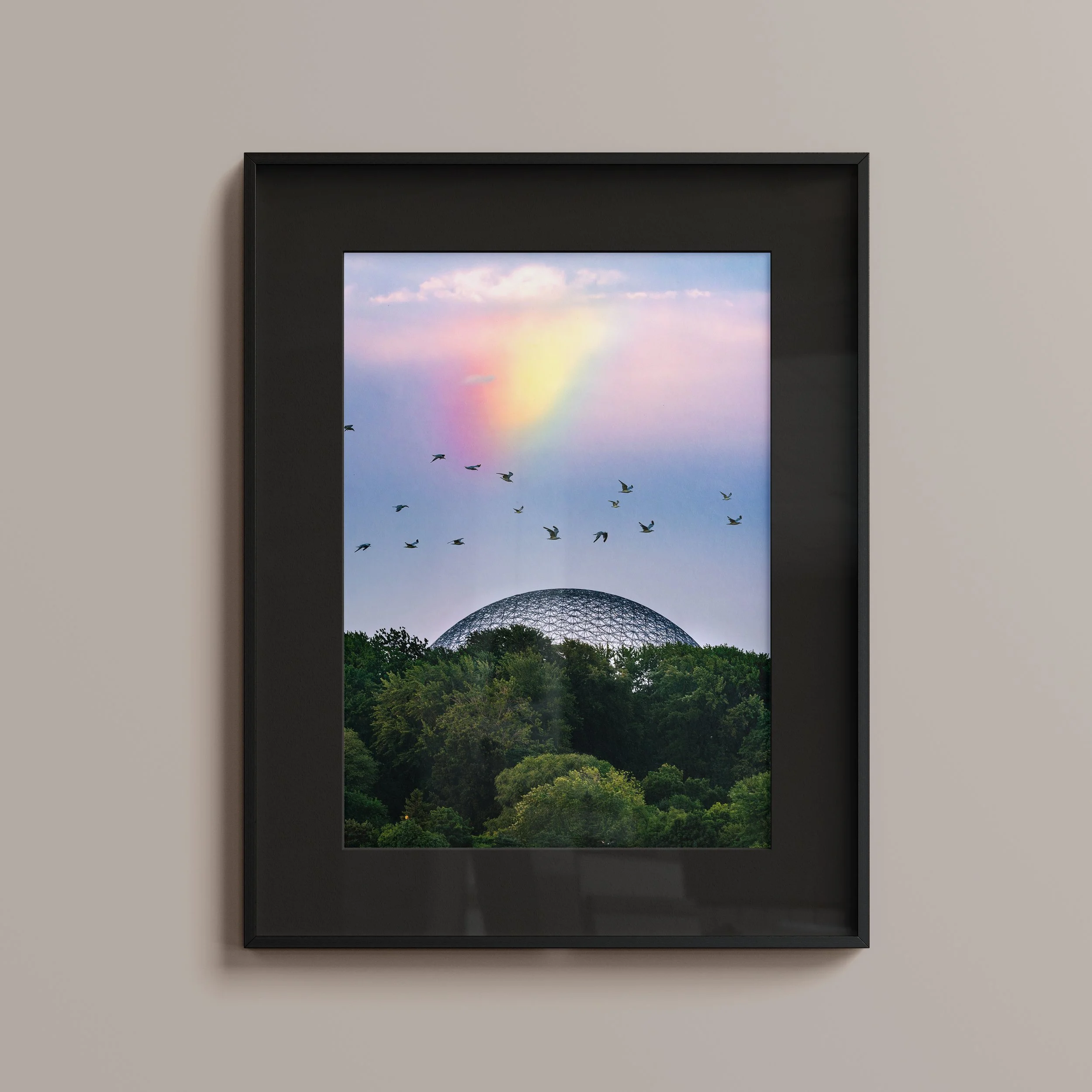 rainbowbio_frame.jpg