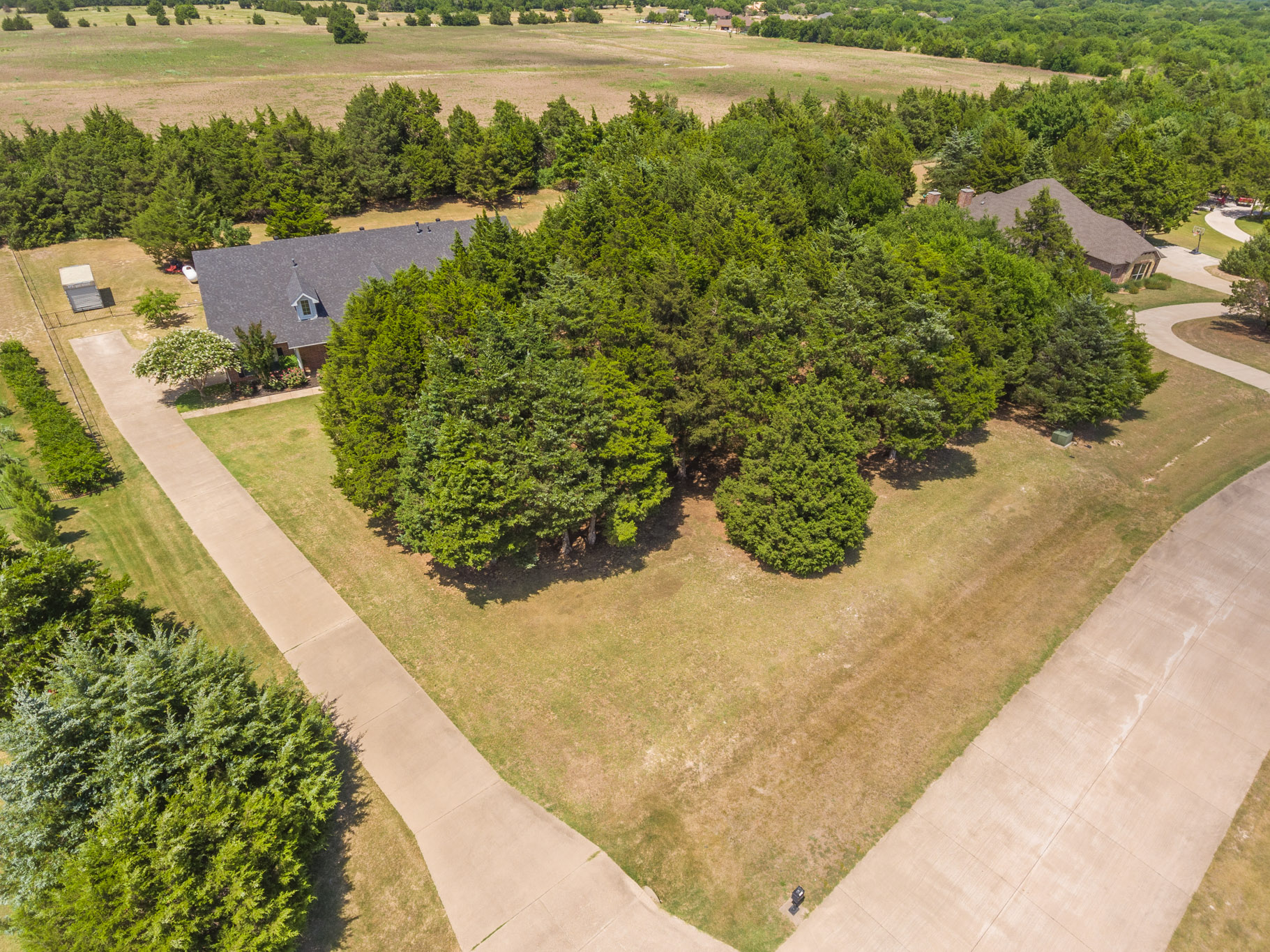 4051 Wisteria 22.jpg