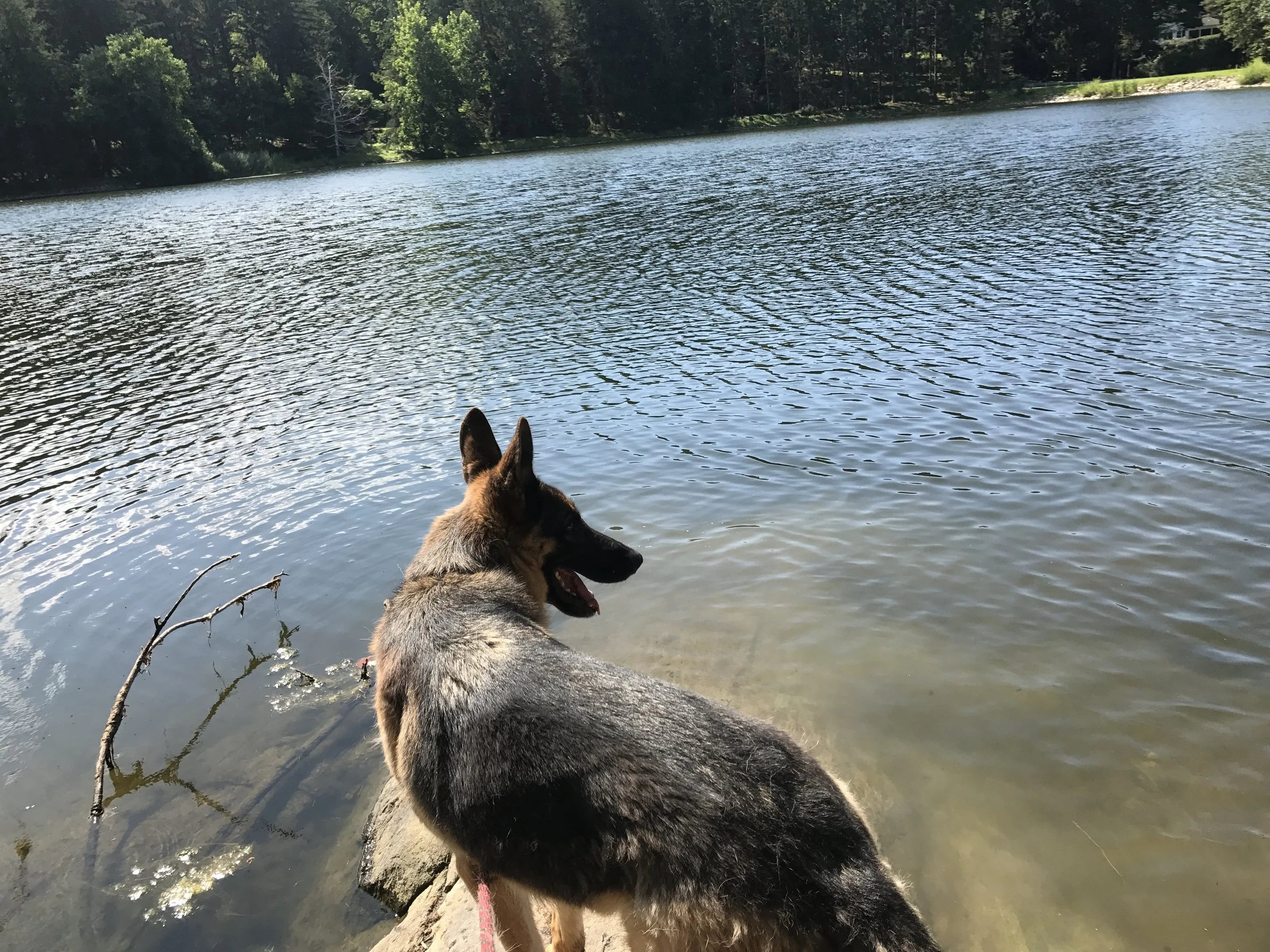 Hiking at the Irvington reservoir.JPG