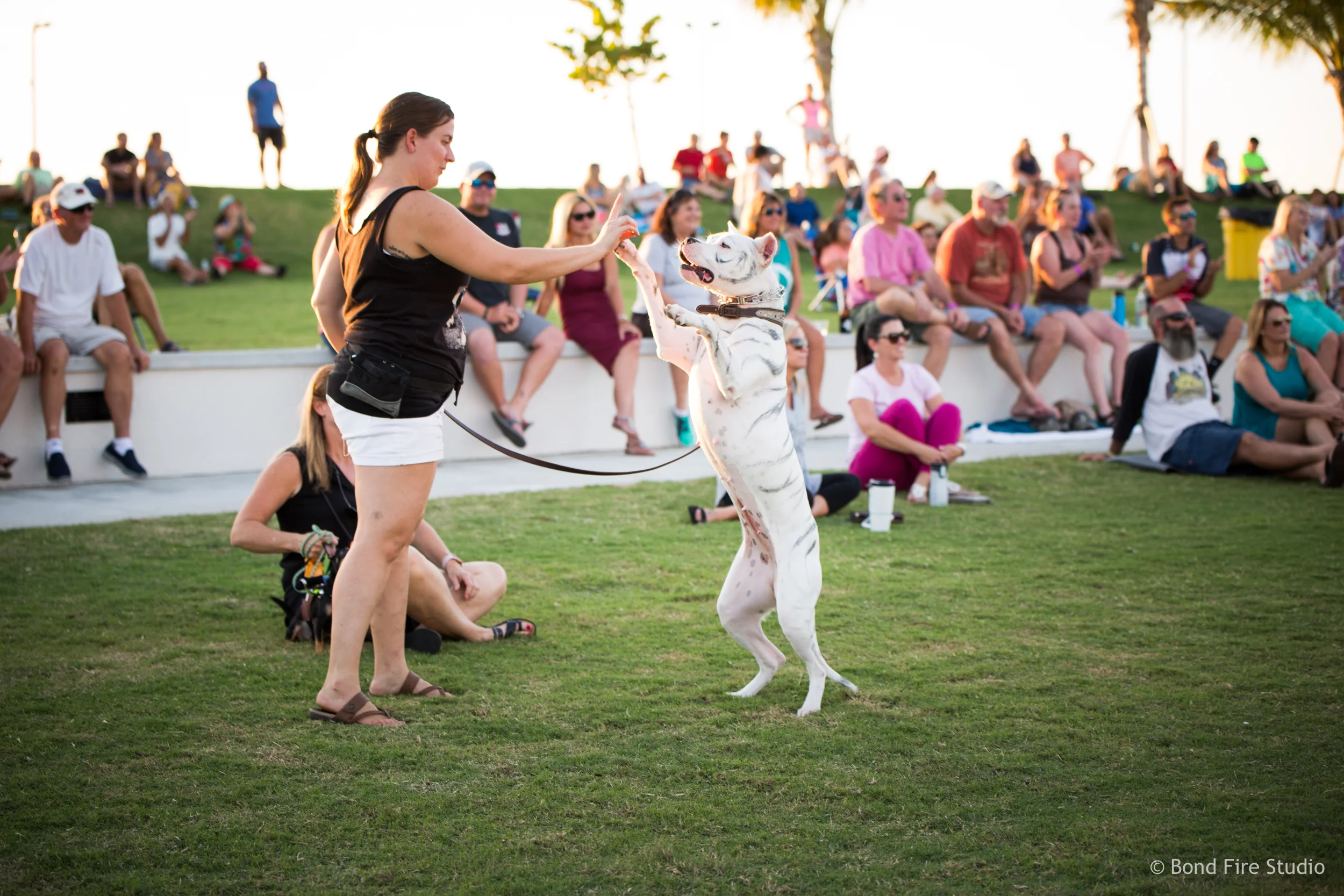 PetMasquerade_181024-045_5918_BondFireStudio.jpg