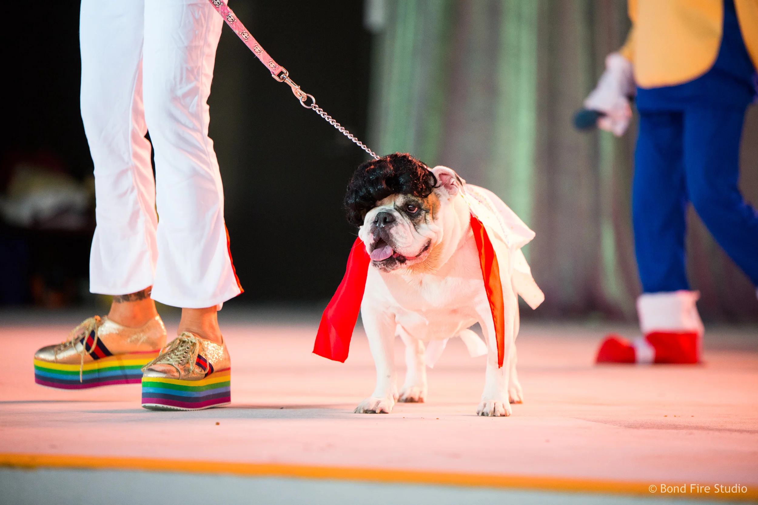 PetMasquerade_181024-087_6013_BondFireStudio.jpg