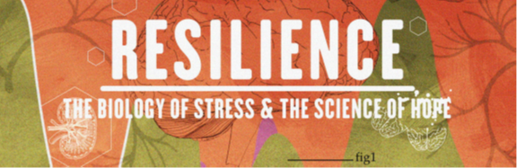 Resilience film.png