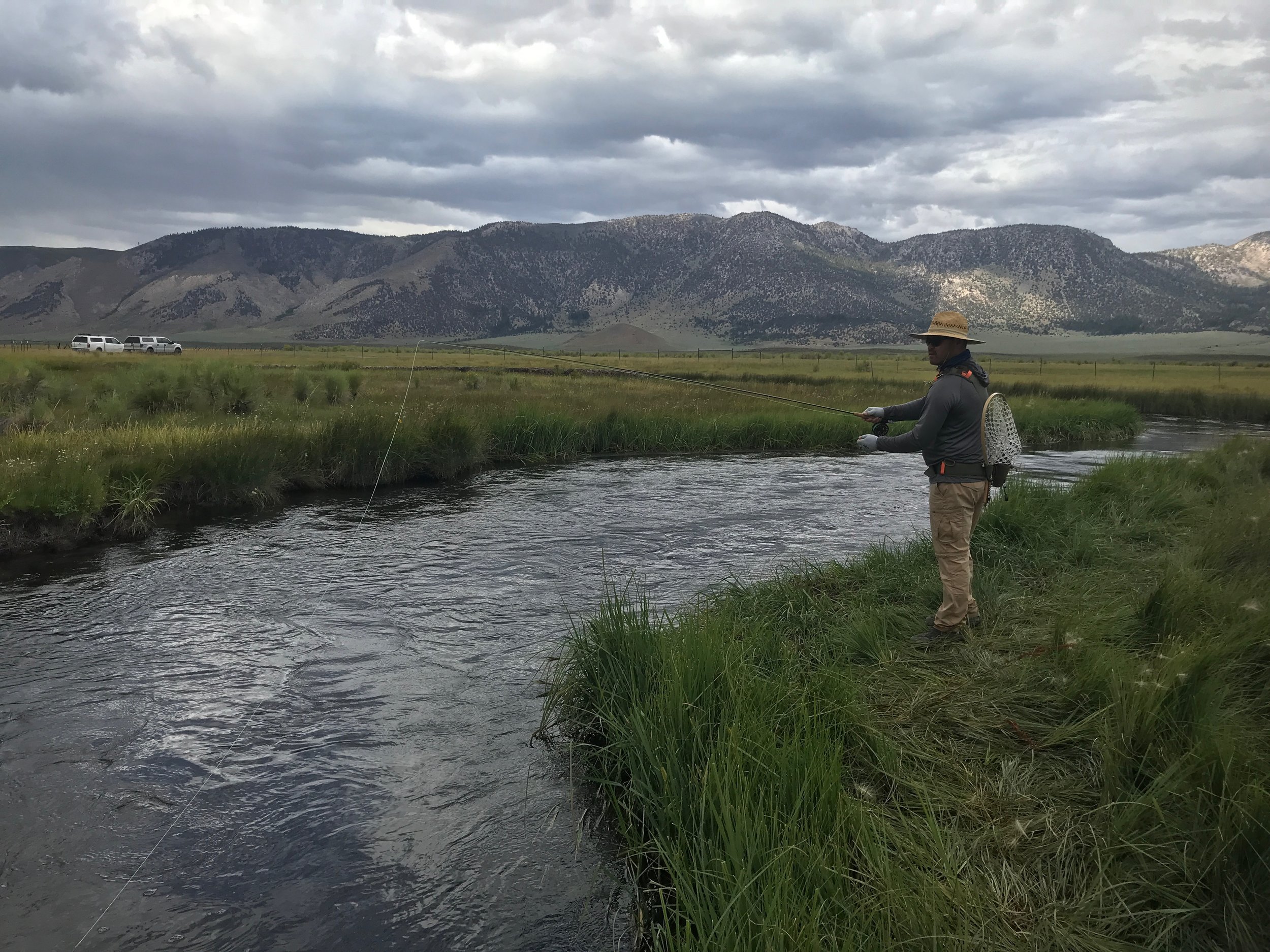 Wade Fishing  Mountains to Marsh